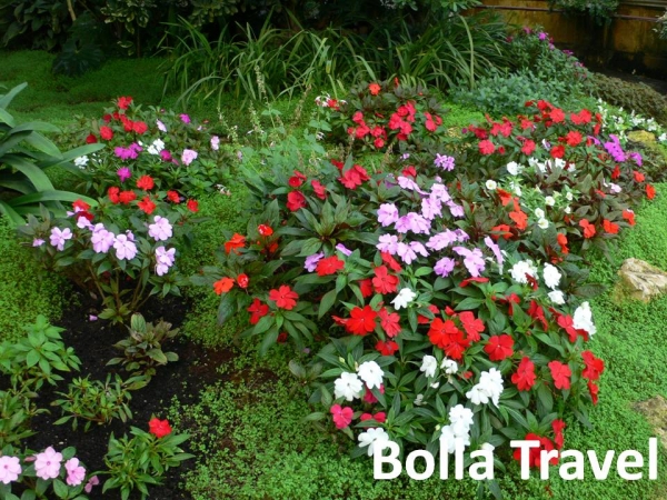 Bolla Travel84_1.jpg
